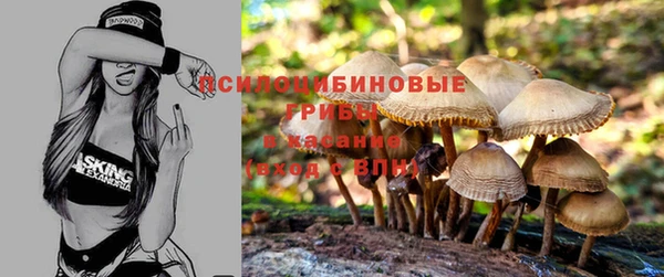 стаф Осташков