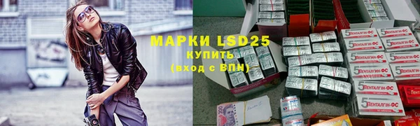 стаф Осташков