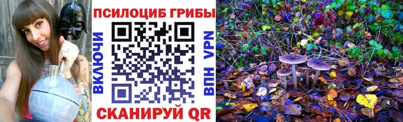 omg ссылка  Короча  Псилоцибиновые грибы GOLDEN TEACHER 